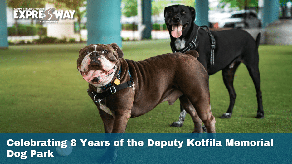Celebrating 8 Years of the Deputy Kotfila Memorial Dog Park